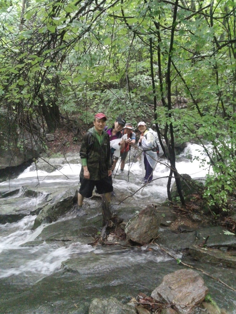 어비산 정상(829m) 이미지