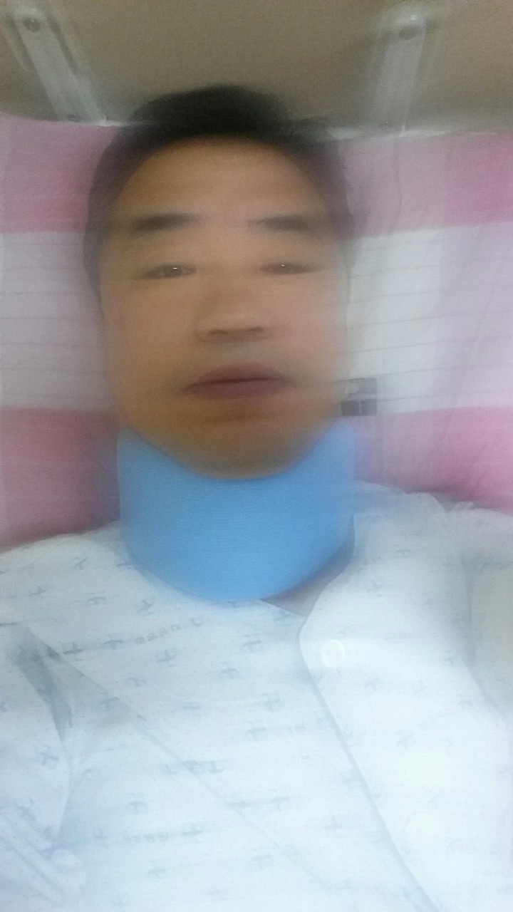 국민돼지 이미지