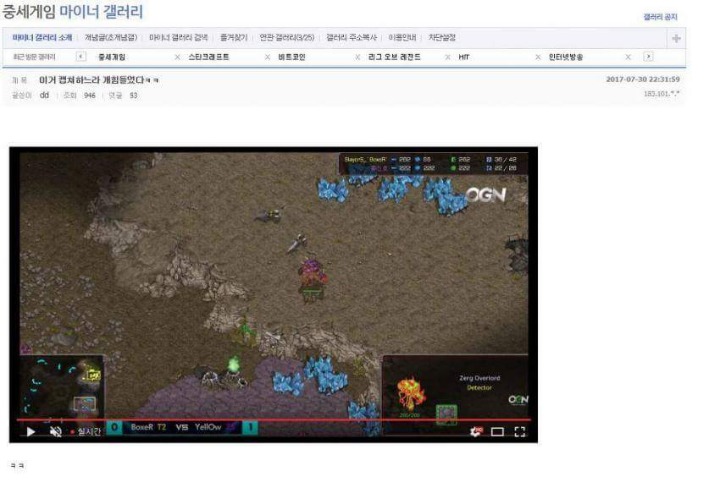 홍홍 이미지