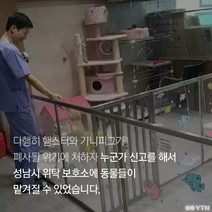 햄스터가 폐기물인가요? | 인스티즈