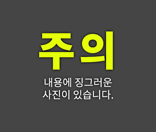 많이 섬뜩한 동충하초의 비밀(feat.포켓몬스터 동심파괴) | 인스티즈