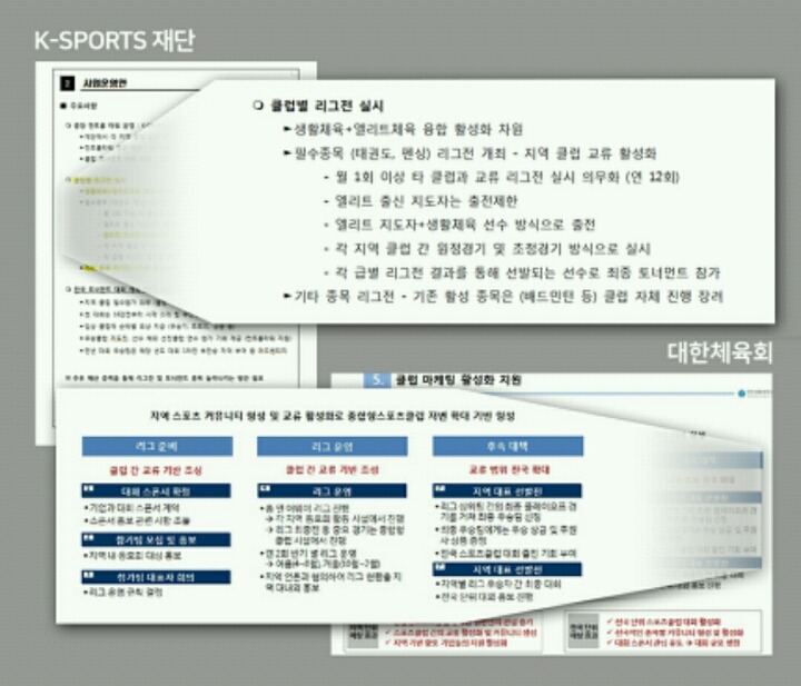[단독] 대한체육회 내부보고서 K스포츠재단에 유출 의혹 | 인스티즈