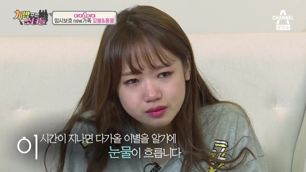 반려견 떠나보내는 암 말기 환자 ㅠㅠㅠ | 인스티즈