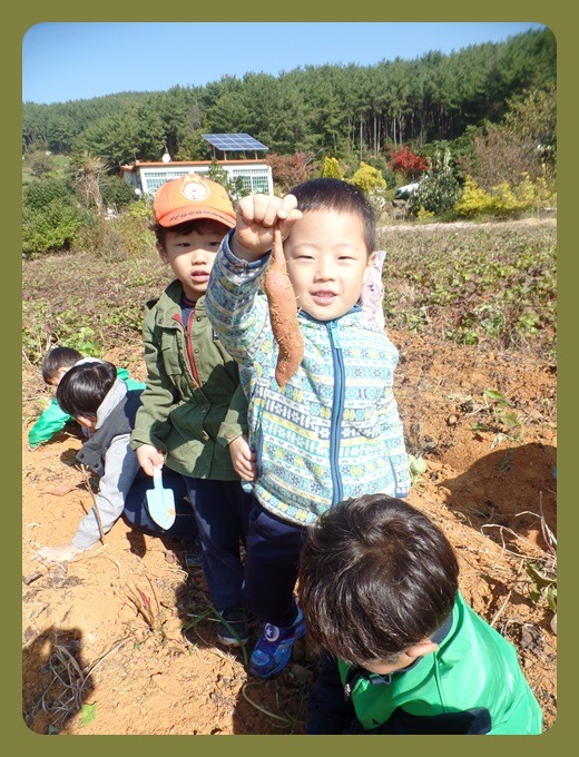 다솔농원 이미지