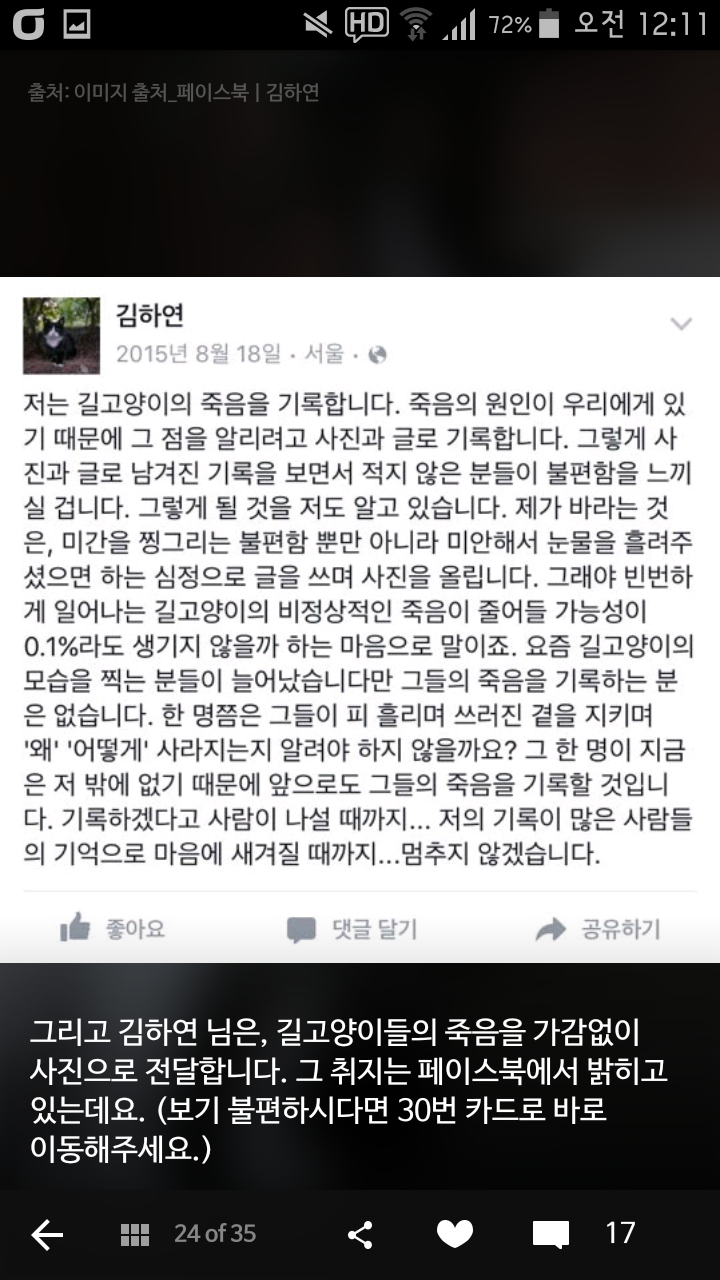 비가오나 눈이오나 길냥이 사진을 찍는 작가 | 인스티즈