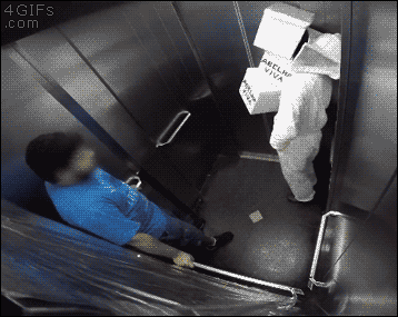 양봉업자 몰카.gif | 인스티즈