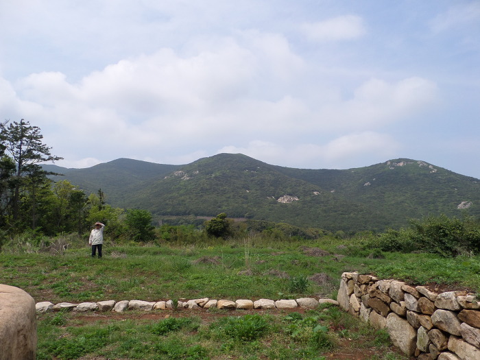 252FE74D554F1E5B129D16