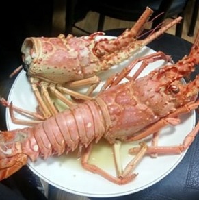 (주)알에프텍 이미지