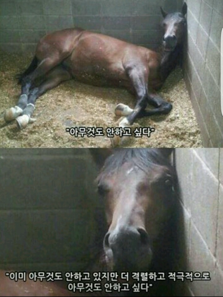 개강이 얼마 남지않았다 | 인스티즈