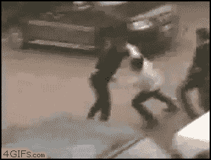 17대1.gif | 인스티즈