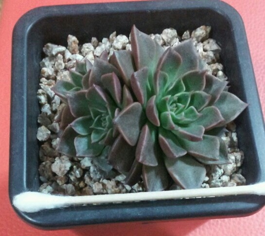 오사사공 이미지