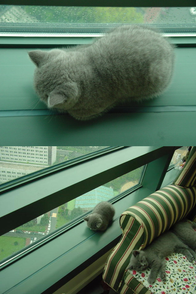 사람을 손쉽게 죽이는 방법 | 인스티즈