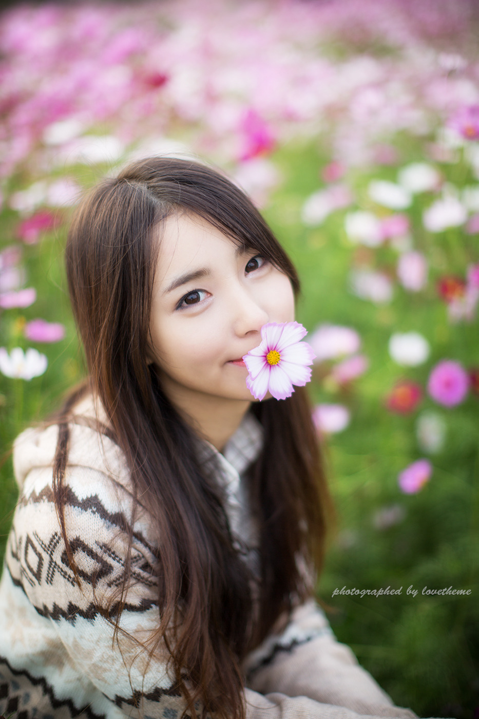 다모 이미지