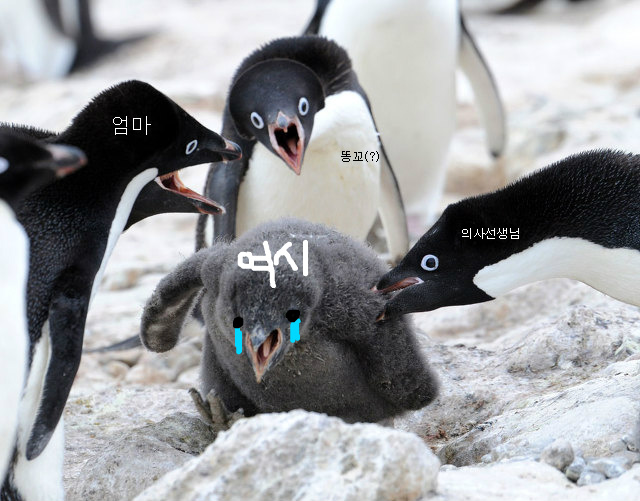 똥꼬에게 사과정도는 해라 | 인스티즈