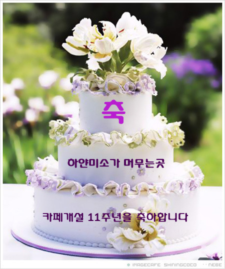 하얀미소 이미지