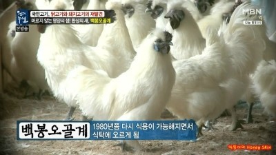 백봉인 이미지