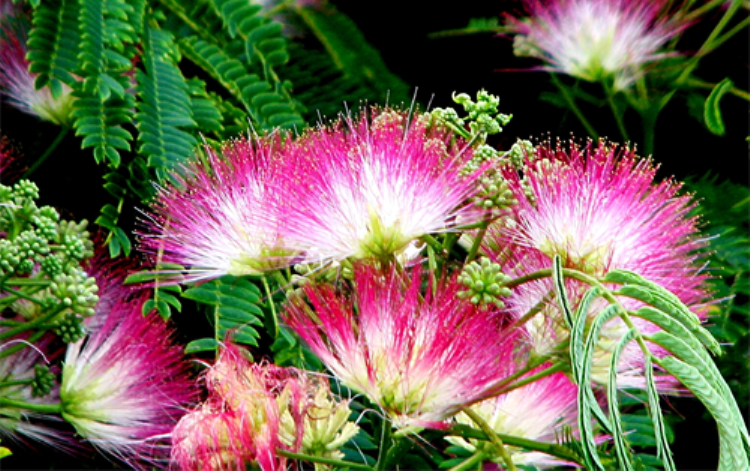 255D714B55C054B61766BC