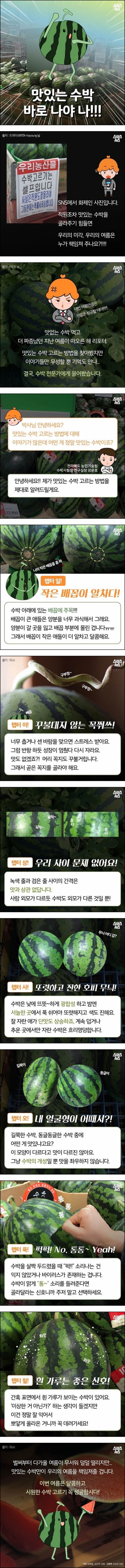 맛있는 수박 고르기 | 인스티즈