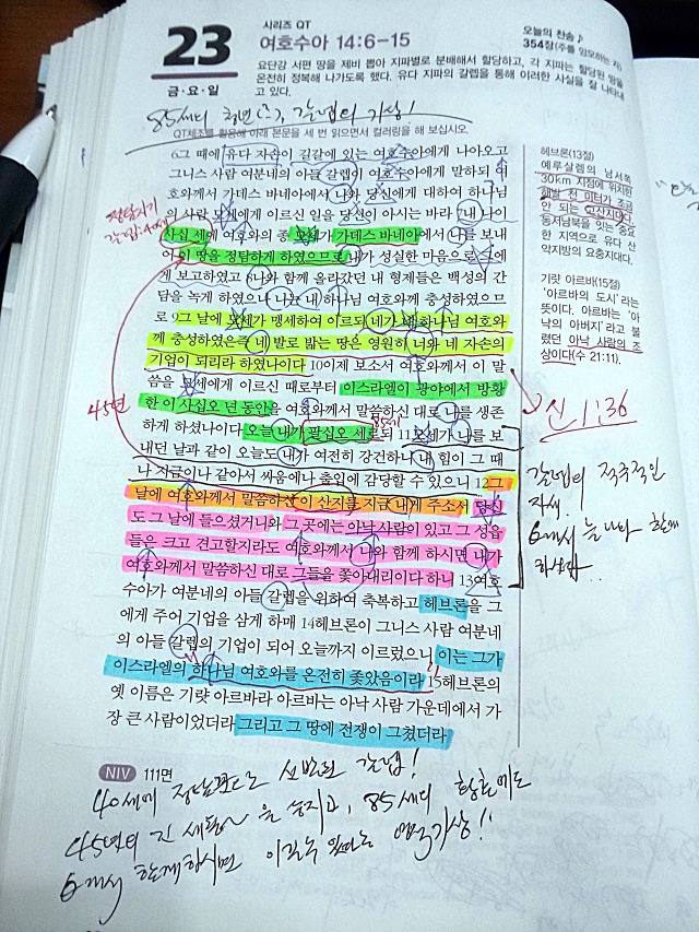청년갈렙기업 이미지
