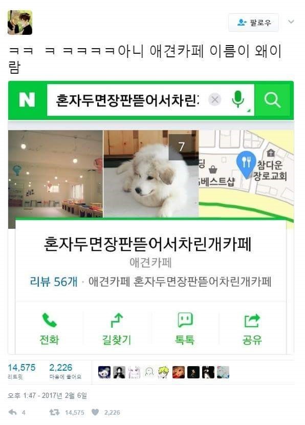 익스트림 애견카페 작명 jpg | 인스티즈