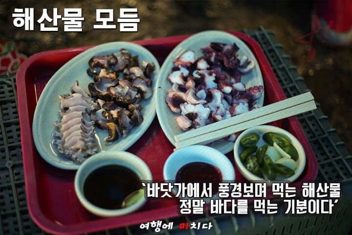 제주도 먹방 여행 | 인스티즈