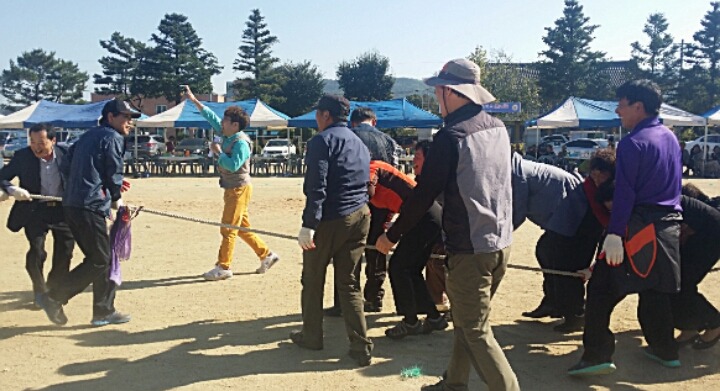 용문초등학교 이미지