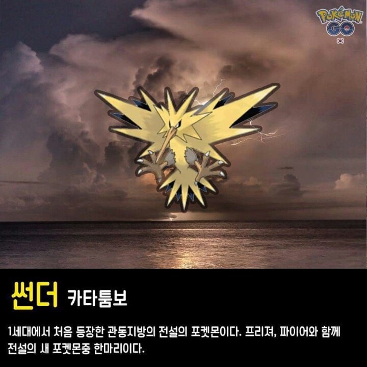 포켓몬go 전설의 포켓몬 | 인스티즈
