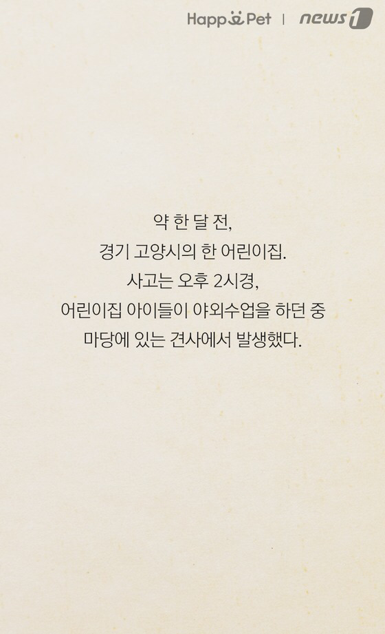 세상에 안 무는 개는 없다 | 인스티즈