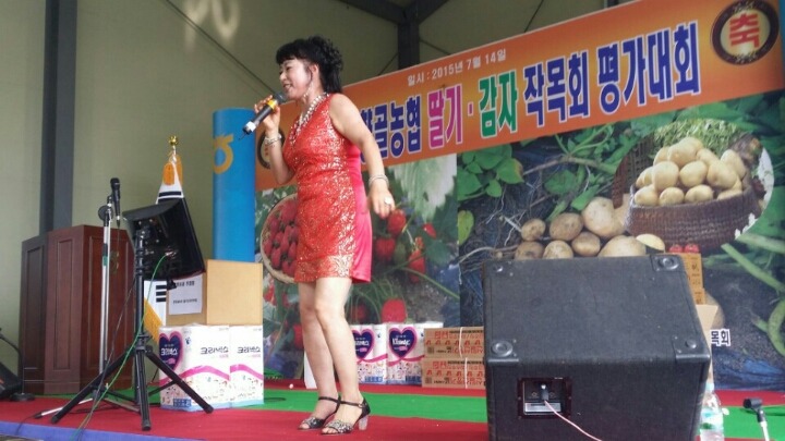 순정감자 이미지