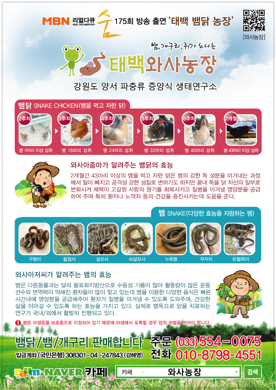 와사 이미지