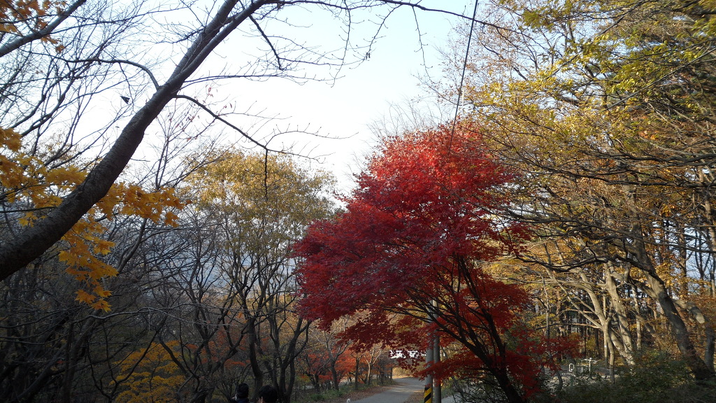 천오 이미지