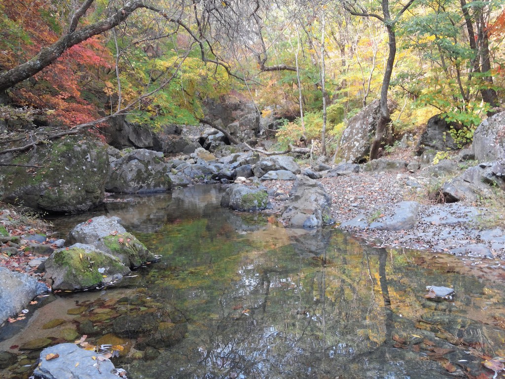 산중농원 이미지