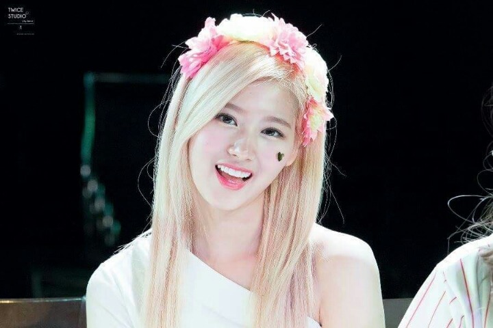 모기 잡으려고 몸푸는 사나.gif | 인스티즈