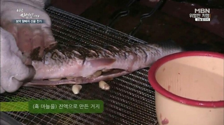 나는 자연인이다 마늘성애자 (마늘주의) | 인스티즈