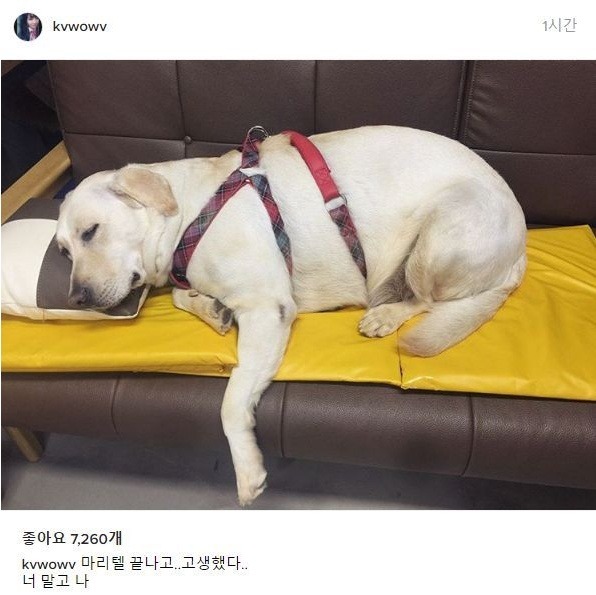 개고생한 AOA 민아 | 인스티즈