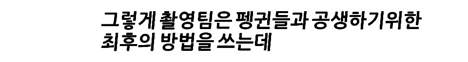 펭귄한테 역관광 당한 사람들 | 인스티즈