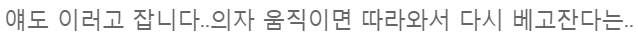 귀여운 자세로 자는 동물들.jpg | 인스티즈