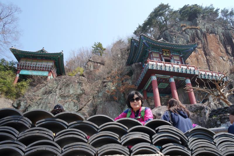 (주)희망조경 이미지