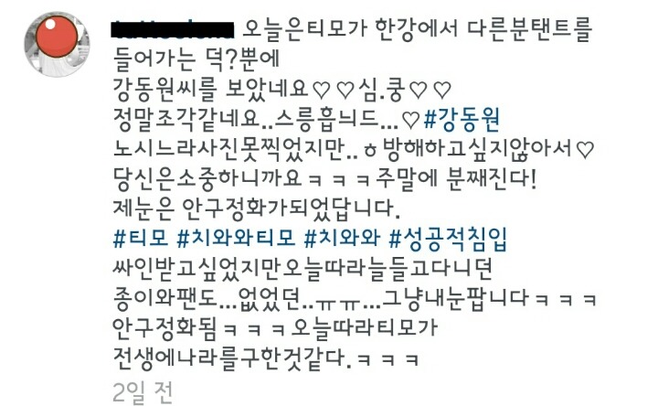 하다하다 개나 고양이도 잘생긴 남자의 낯짝은 알아봄 | 인스티즈