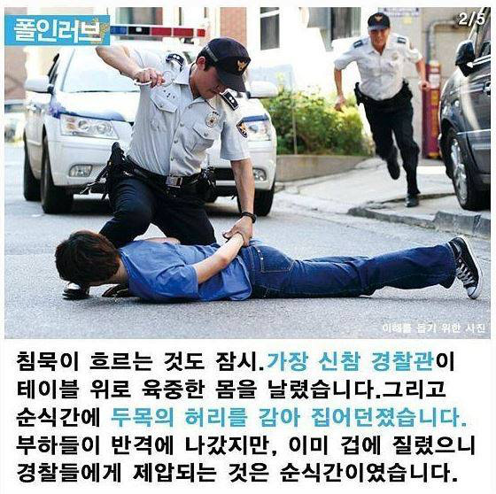 나갈래 이미지
