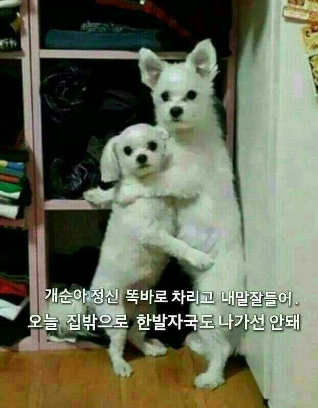 같이 이미지
