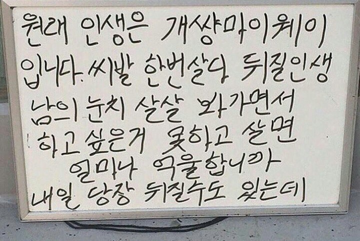 보이빙글 이미지