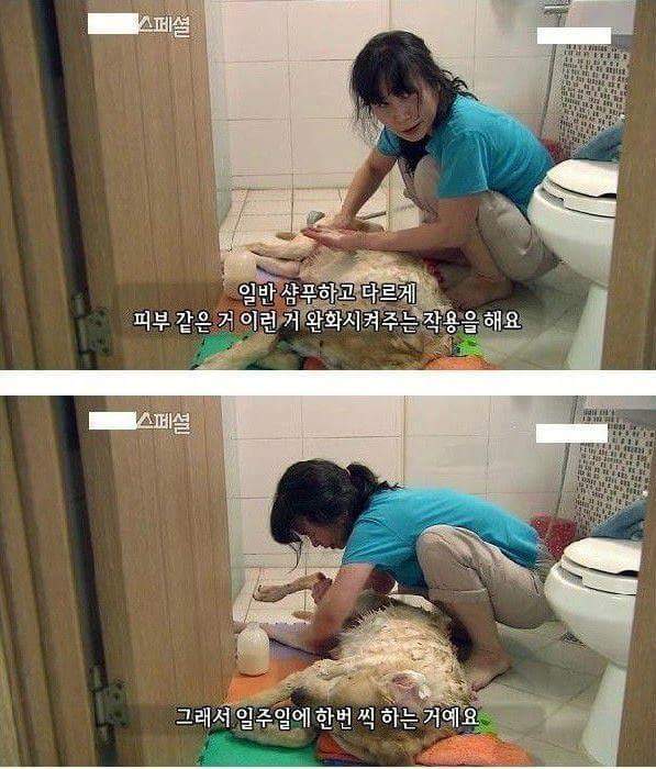 세상에서 가장 아름다운 이별 | 인스티즈