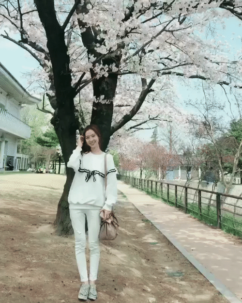 최근 진세연 인스타그램 | 인스티즈