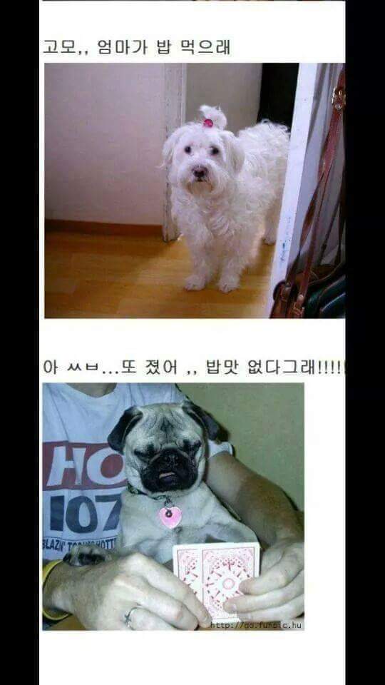 밥은 먹고 다니냐 | 인스티즈