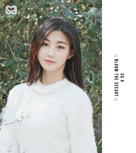'프로듀스 101 시즌1' 탈락 연습생들 데뷔 예정 및 데뷔 현황 | 인스티즈