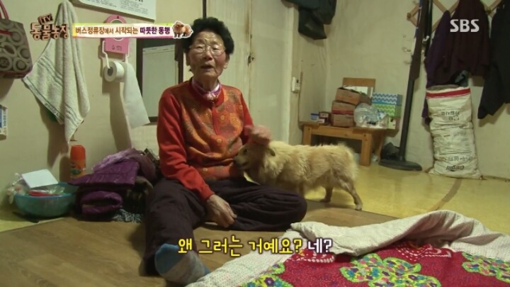 [동물농장] 할머니와 발바리의 따뜻한 우정 | 인스티즈