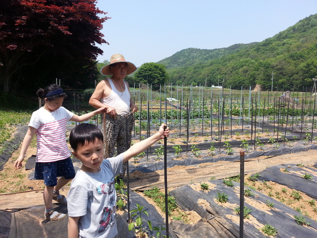 (주)호성 이미지