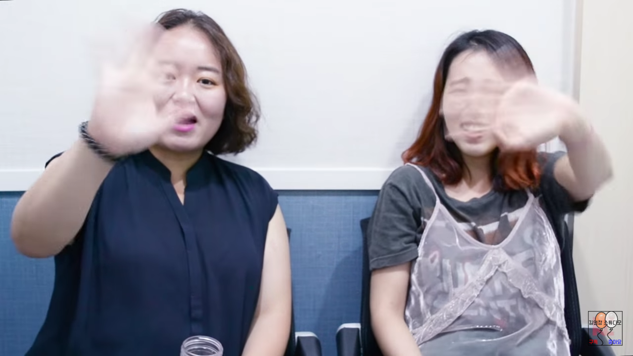 흥미로운 연예부 기자 유투버 두명이 말하는 설리에 대한 기자들의 시선 | 인스티즈