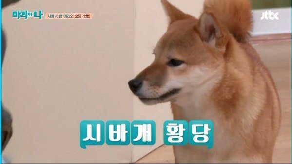 나에게 잘생긴 남자친구가 있다 but..이런점이 있다면? | 인스티즈